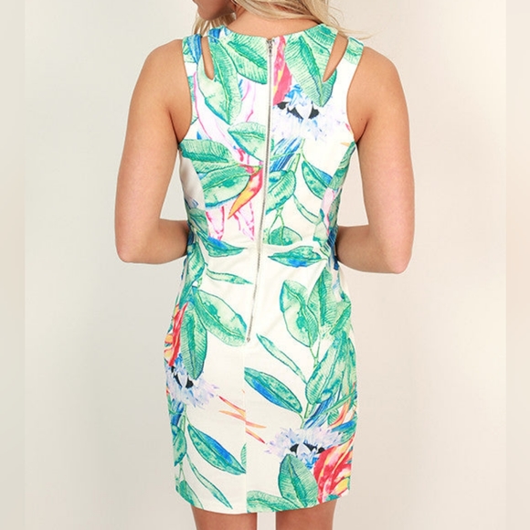 New L’Atiste by Amy Bird of Paradise Tropical Mini Dress Small - Picture 2 of 9